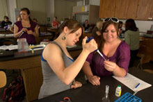 Students in the Lab Agricultural Education: instructing students in the lab