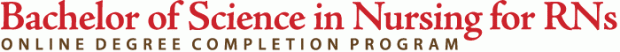 Bachelor of Science in Nursing for RN's