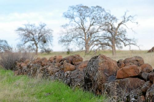  Photo of lava rock wall with valley oak trees in the background. Photo: Chico Enterprise Record