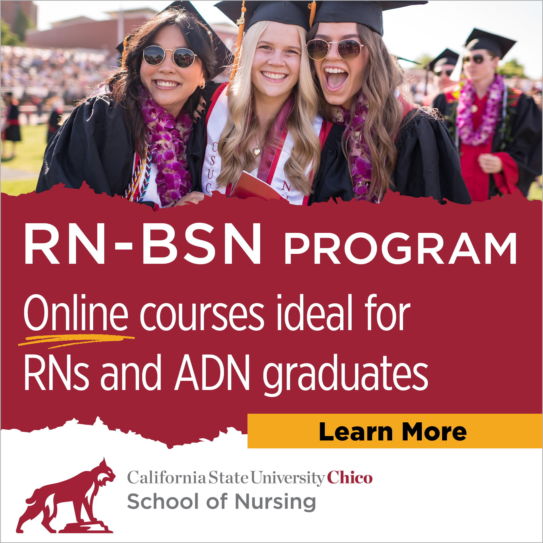 RN-BSN Program Graphic
