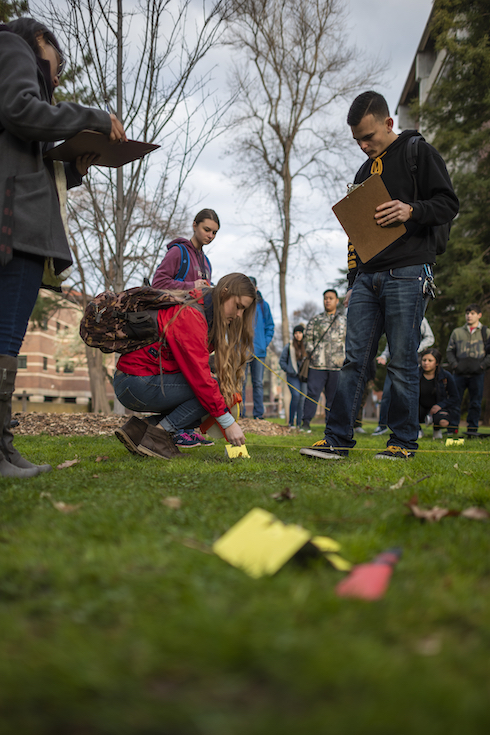 Students learning forensic archaeology techniques on the Chico State campus.