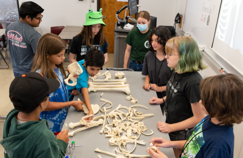 Wildcat Discovery Camp kids examining bones during forensics class.