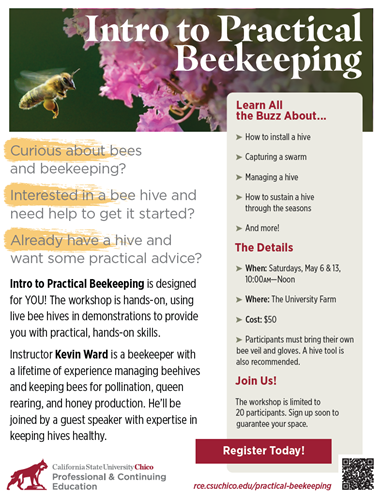 Intro to Practical Beekeeping Information Flyer to Share