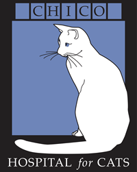 Logo of Chico Hospital for Cats, an OLLI Silver-Level Business Sponsor
