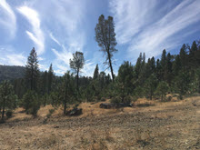 Northern Sierra Nevada California