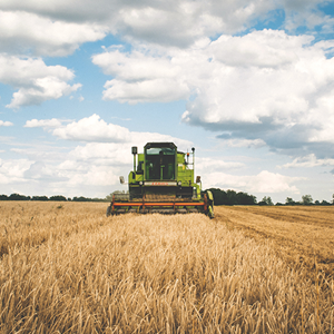 Photo of harvester in a grain field.