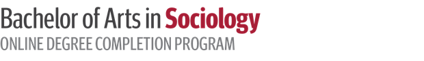 Bachelor of Arts in Sociology Online Degree Completion Program