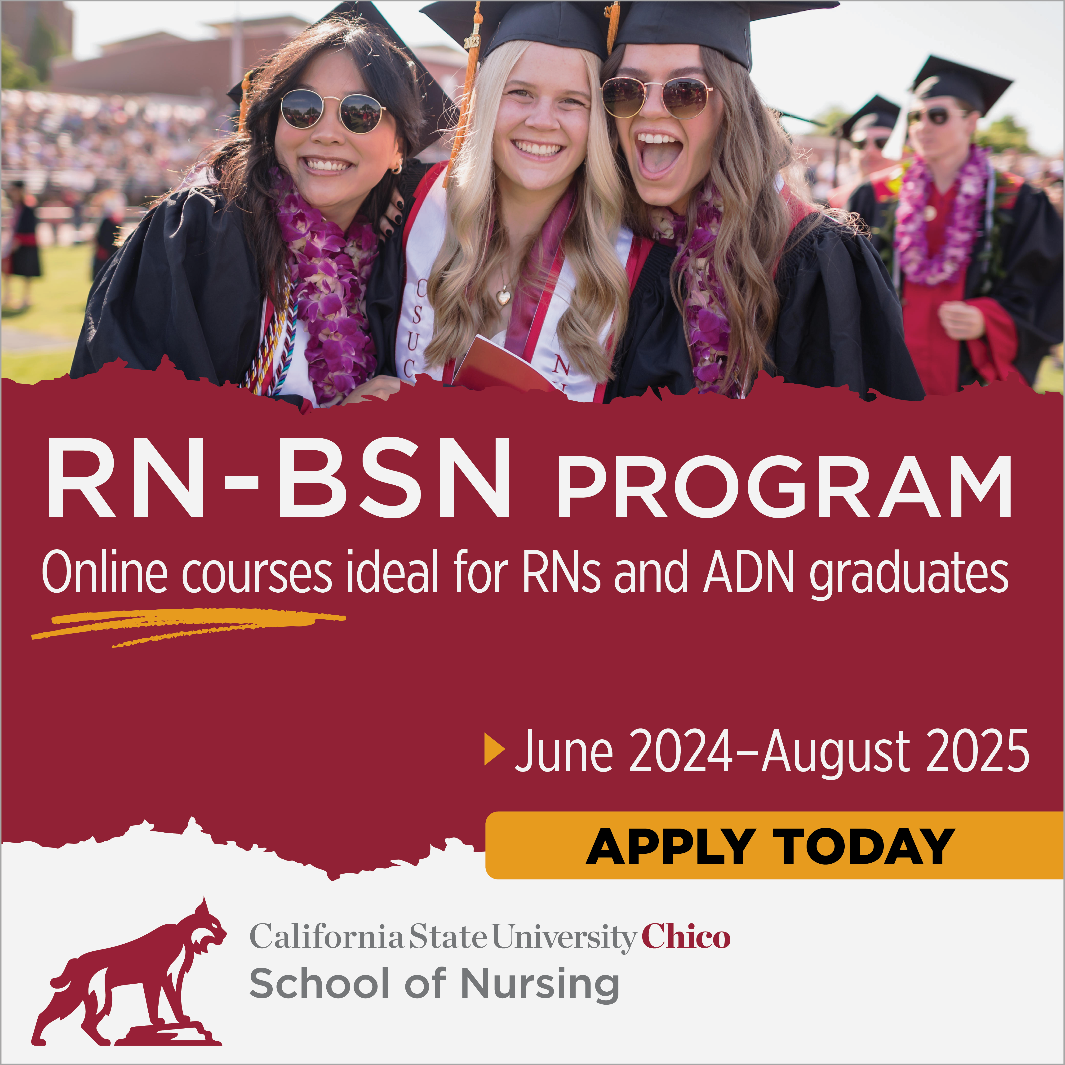 RN-BSN Flyer Image