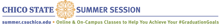 Summer Session Logo